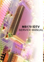 17MB170 IDTV_SM